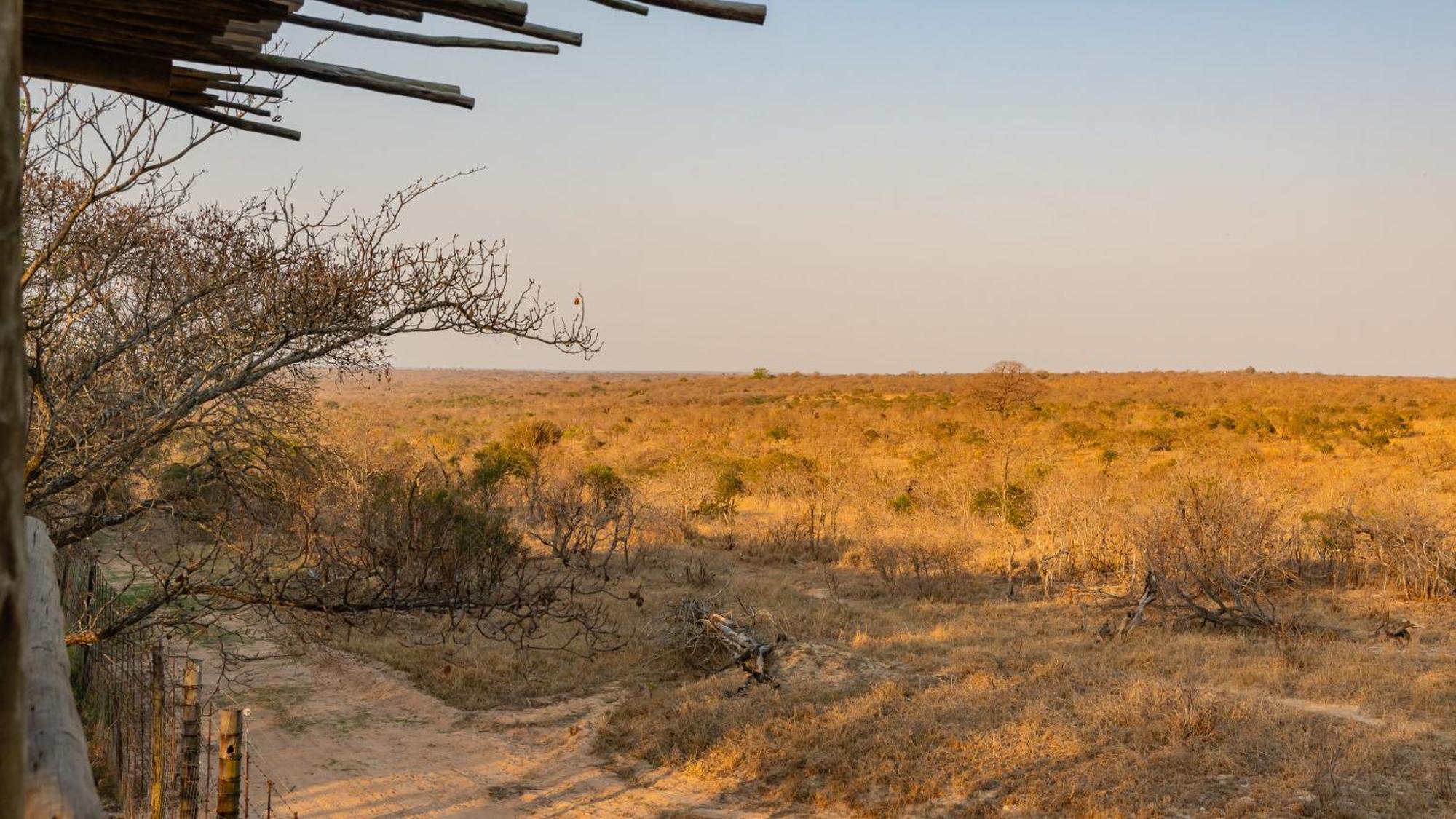 Sunbirds Oasis Lodge Hoedspruit Bagian luar foto